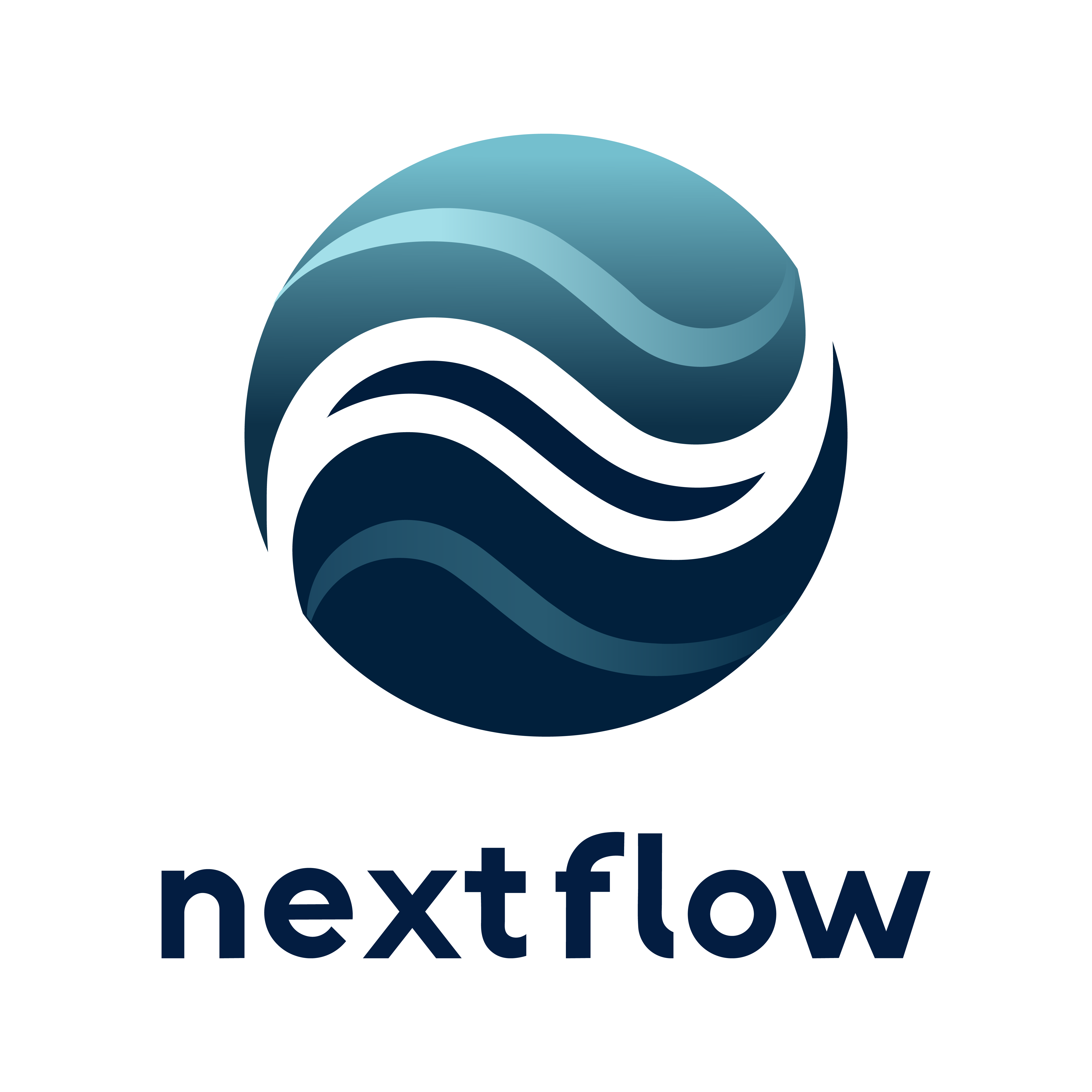 Next Flow Logo